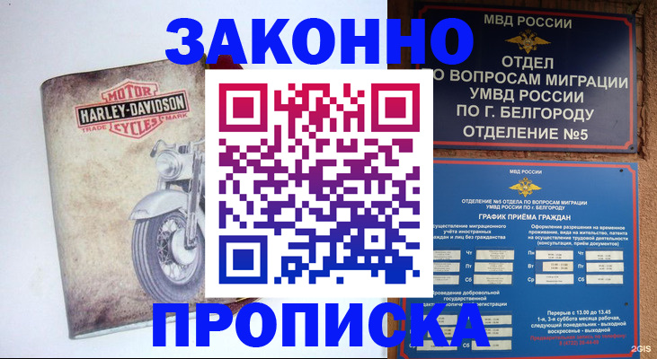 прописка для школы в Архангельске